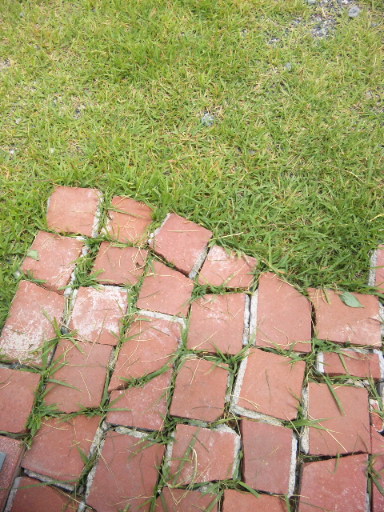 d0143192_1913391.jpg
