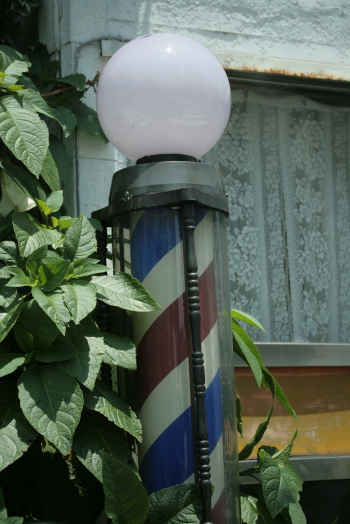 d0133693_175469.jpg