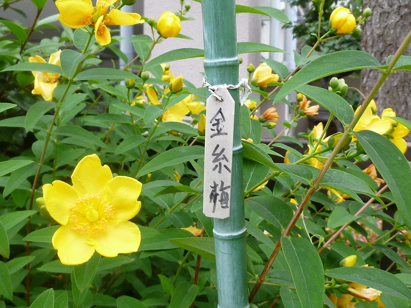 c0138198_9453356.jpg
