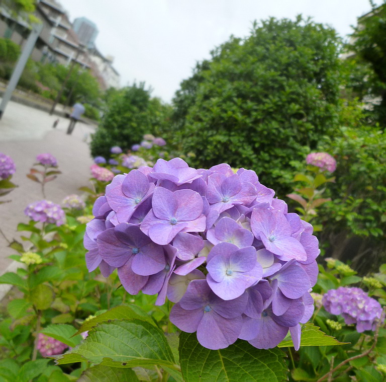 c0138198_9493416.jpg