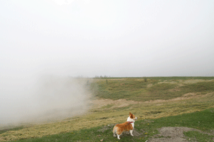 f0165698_0535746.gif