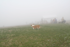 f0165698_1040100.gif