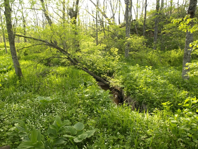 f0020302_20535429.jpg