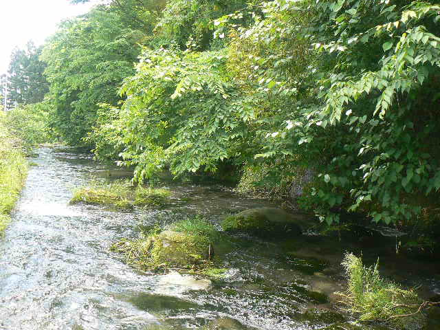 f0164503_19201068.jpg