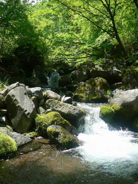 f0164503_19271234.jpg