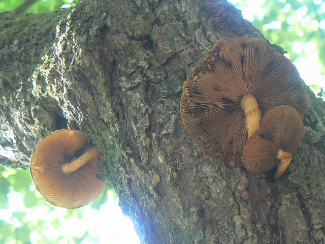 f0164503_19352631.jpg