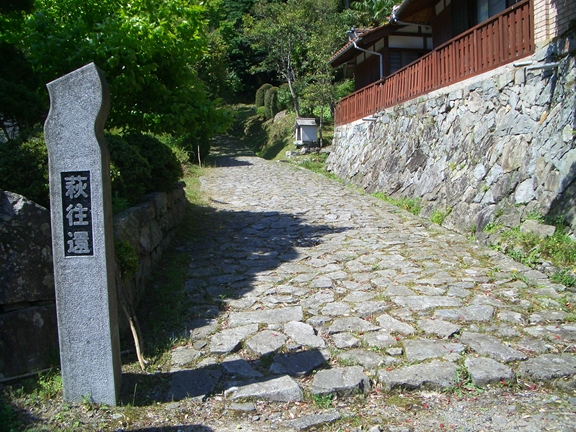 c0197004_16383179.jpg