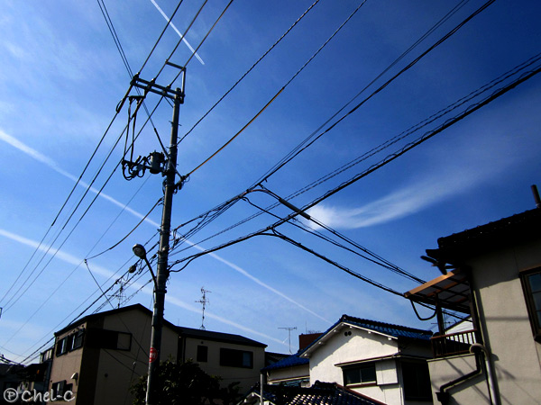 a0154706_1819369.jpg