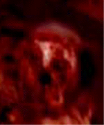 e0103408_1603940.gif