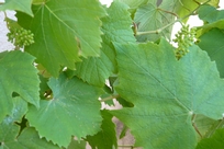 f0221708_20154517.jpg