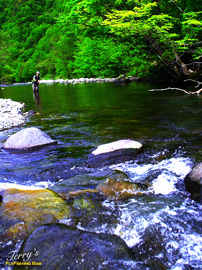 e0009009_22332527.jpg