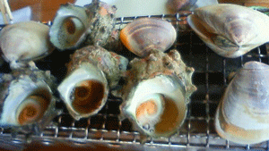 e0136609_19384597.gif