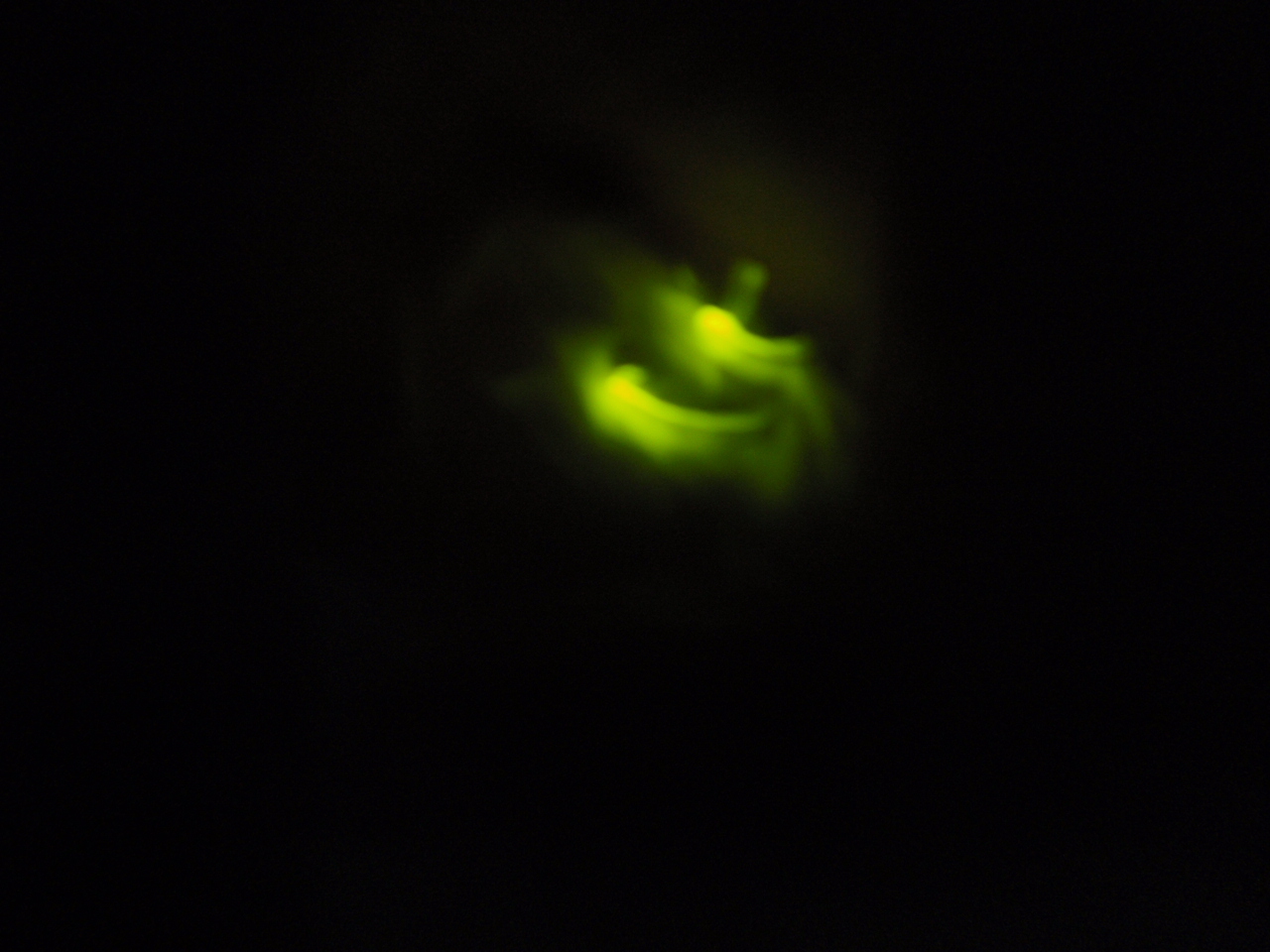 b0062214_2203865.jpg