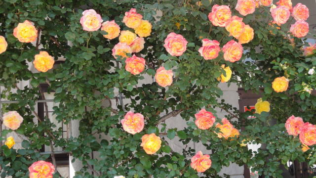 f0233414_1101562.jpg