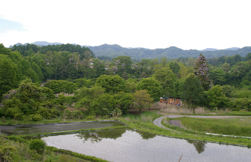 e0136424_844687.jpg