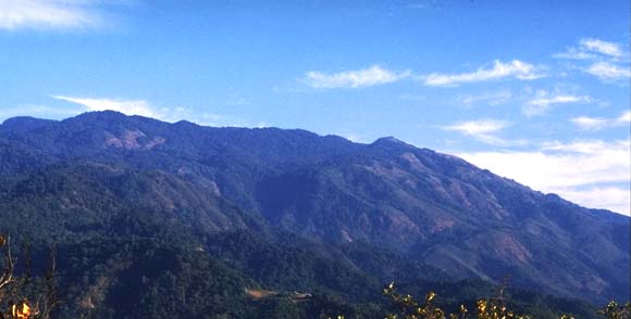 d0159325_13235356.jpg