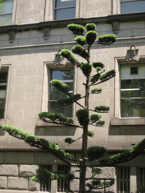 d0147727_1939425.jpg