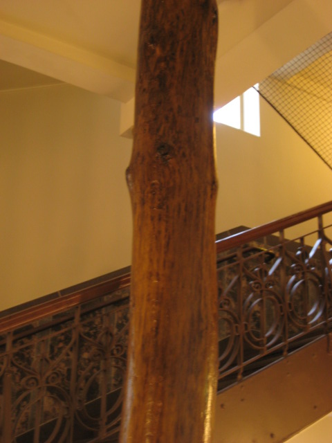 d0147727_19525475.jpg