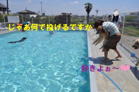f0176830_17445582.jpg
