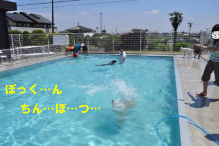 f0176830_17462480.jpg