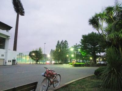 b0165139_19372285.jpg