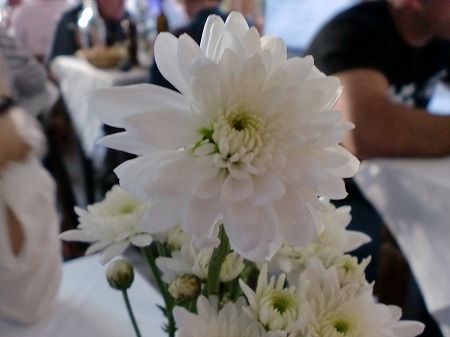 d0092439_19583257.jpg