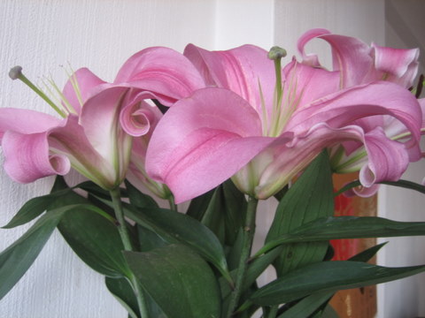 e0018143_18251550.jpg