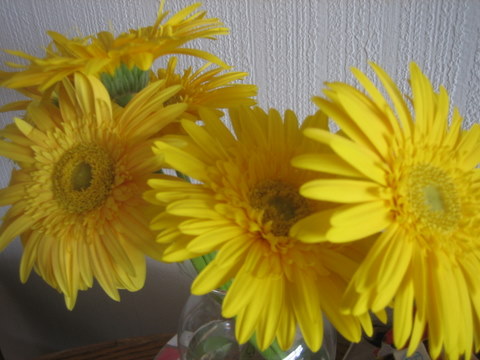 e0018143_18254580.jpg