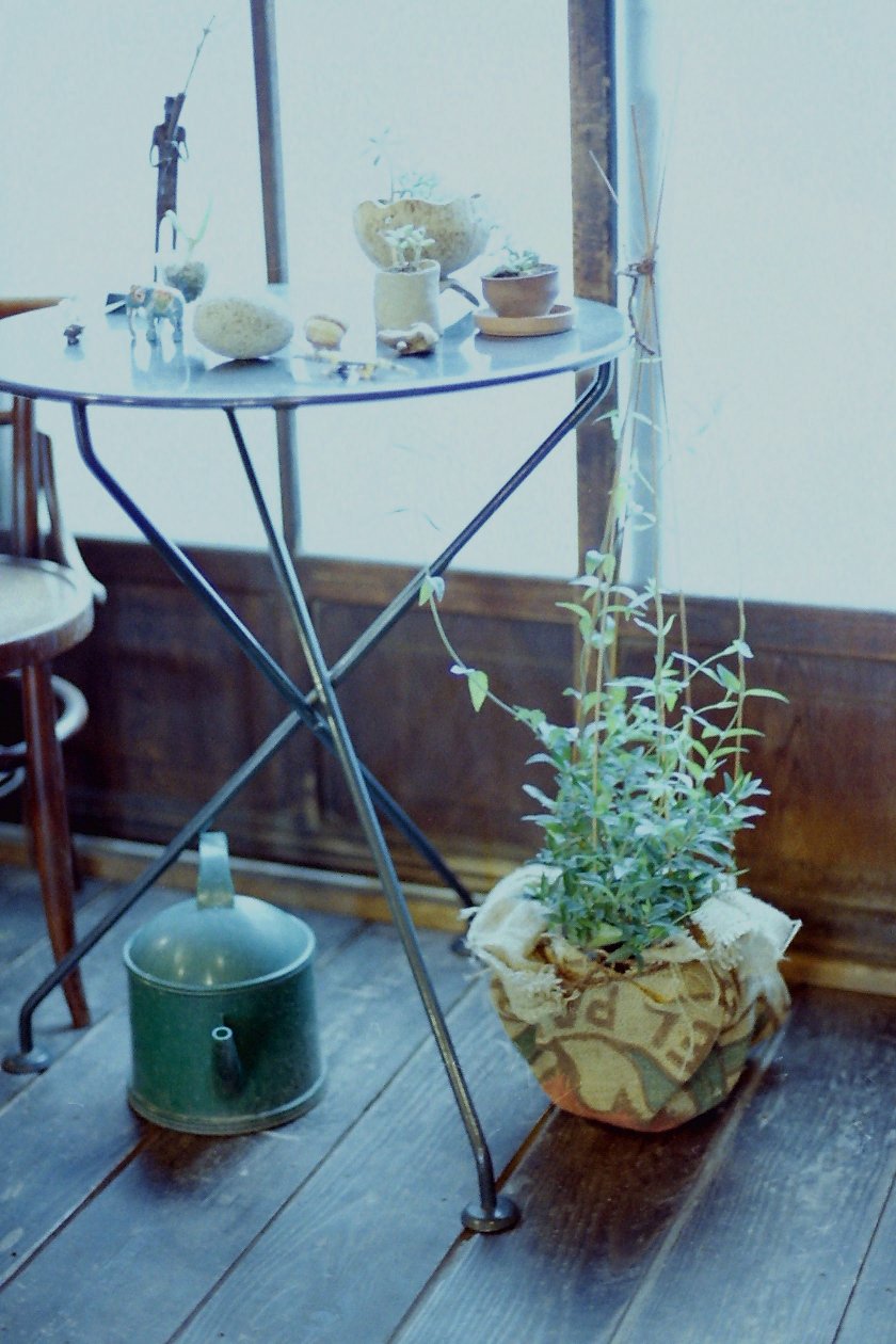 f0236843_141718.jpg