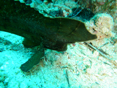 d0065247_16585338.jpg