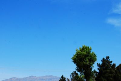 c0181652_339557.jpg