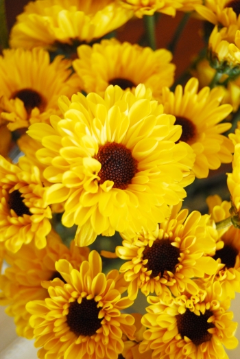 c0181652_340231.jpg