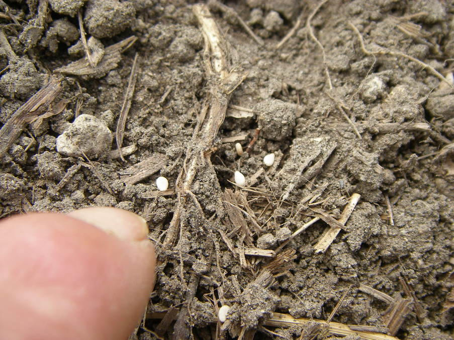 e0181260_21174958.jpg