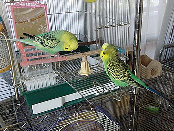 f0196665_0354385.jpg