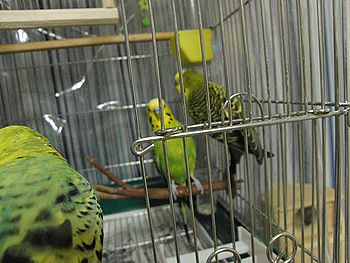 f0196665_0491691.jpg