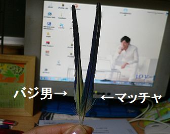f0196665_23441349.jpg