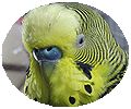 f0196665_23481292.jpg