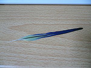 f0196665_2352664.jpg