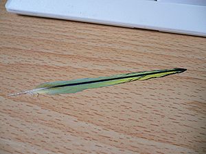 f0196665_23552420.jpg