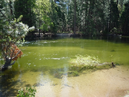 f0186671_13375430.jpg