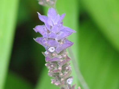 d0050472_2132481.jpg