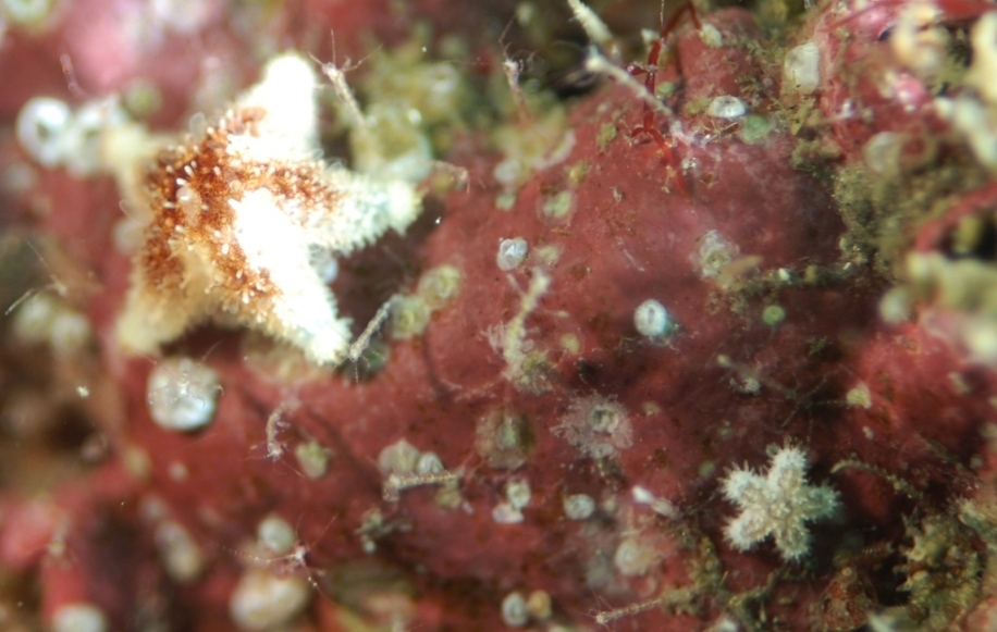 c0181073_21303890.jpg