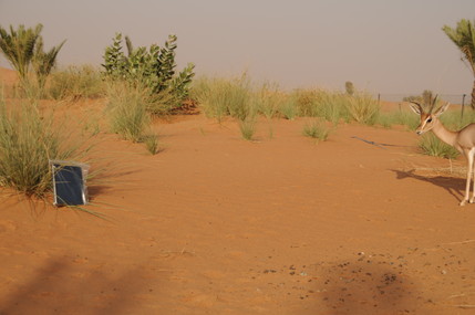 e0066474_0271791.jpg
