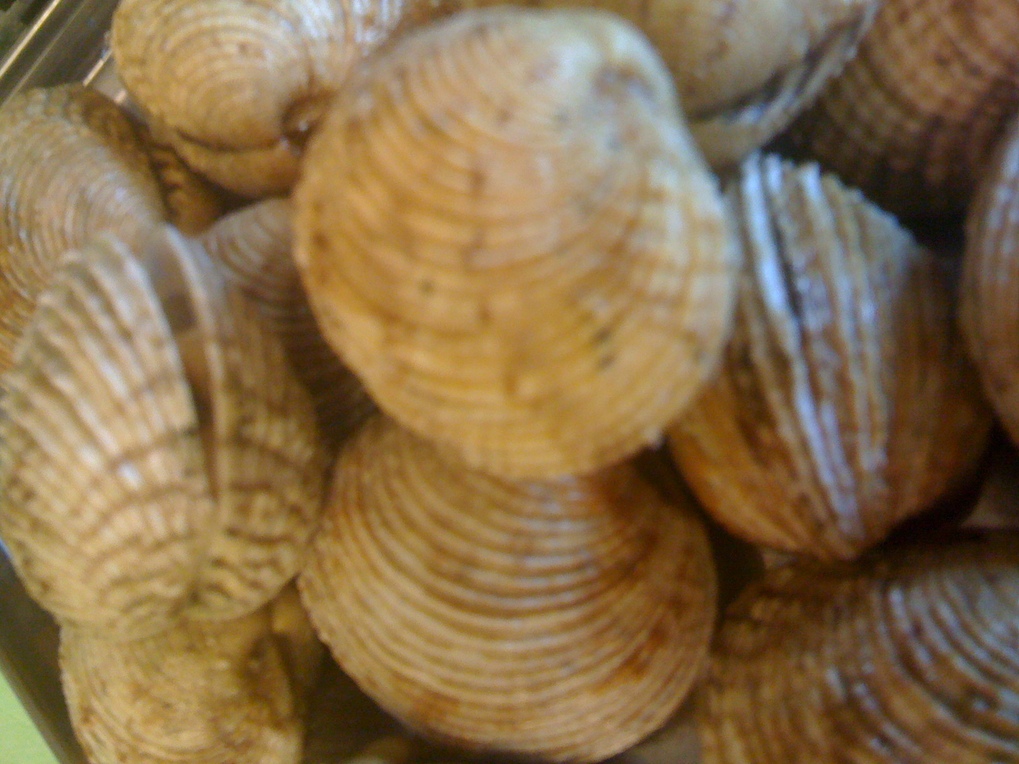 f0222774_2001884.jpg