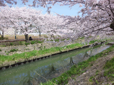 f0092775_18165126.gif