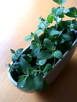 f0054677_825720.jpg
