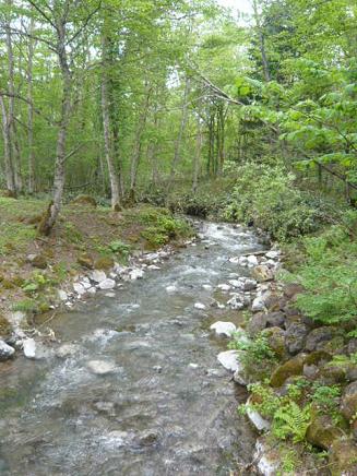 c0175679_1411740.jpg