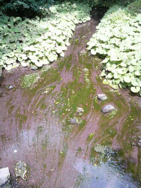 c0144082_2105344.jpg
