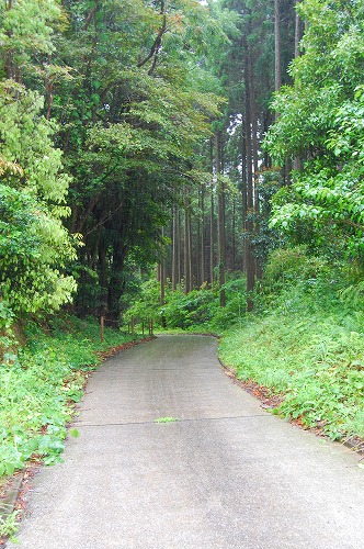 d0114583_8472188.jpg