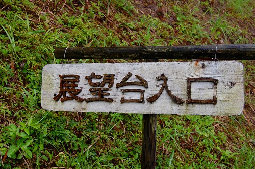 d0114583_847457.jpg